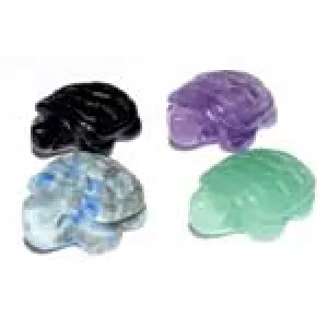 15mm Various Real Natural Crystal Turtle Set of 12