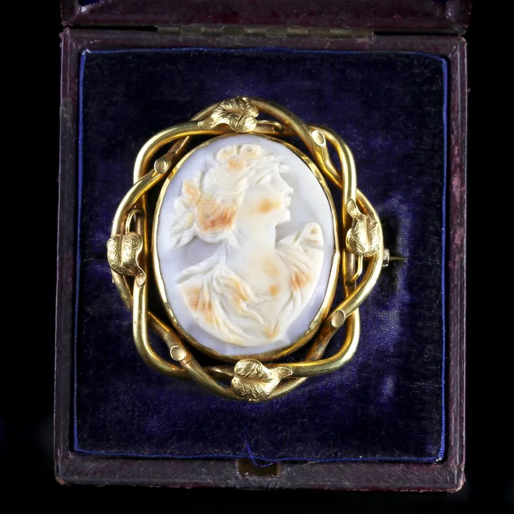 Antique Edwardian Cameo Brooch 9ct Gold Circa 1905 Boxed