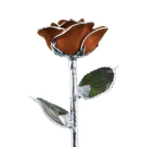 Chocolate Kiss Platinum Rose