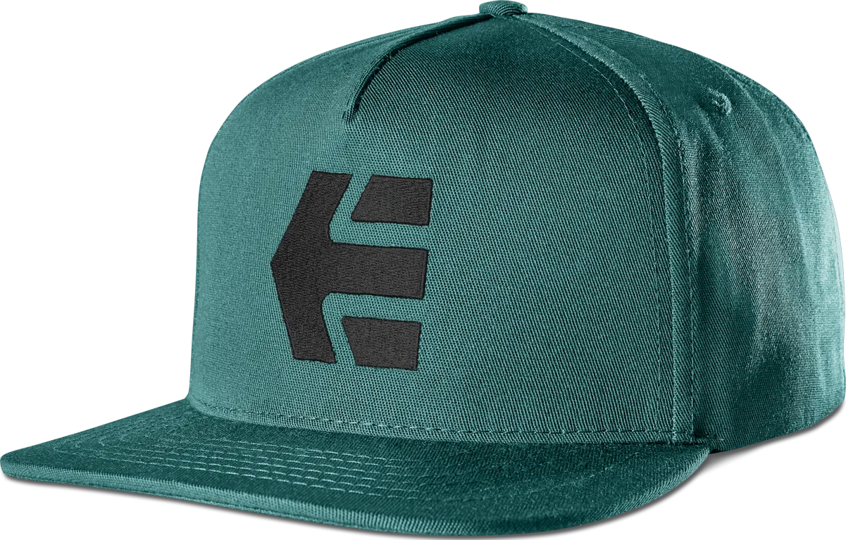 ICON SNAPBACK HAT