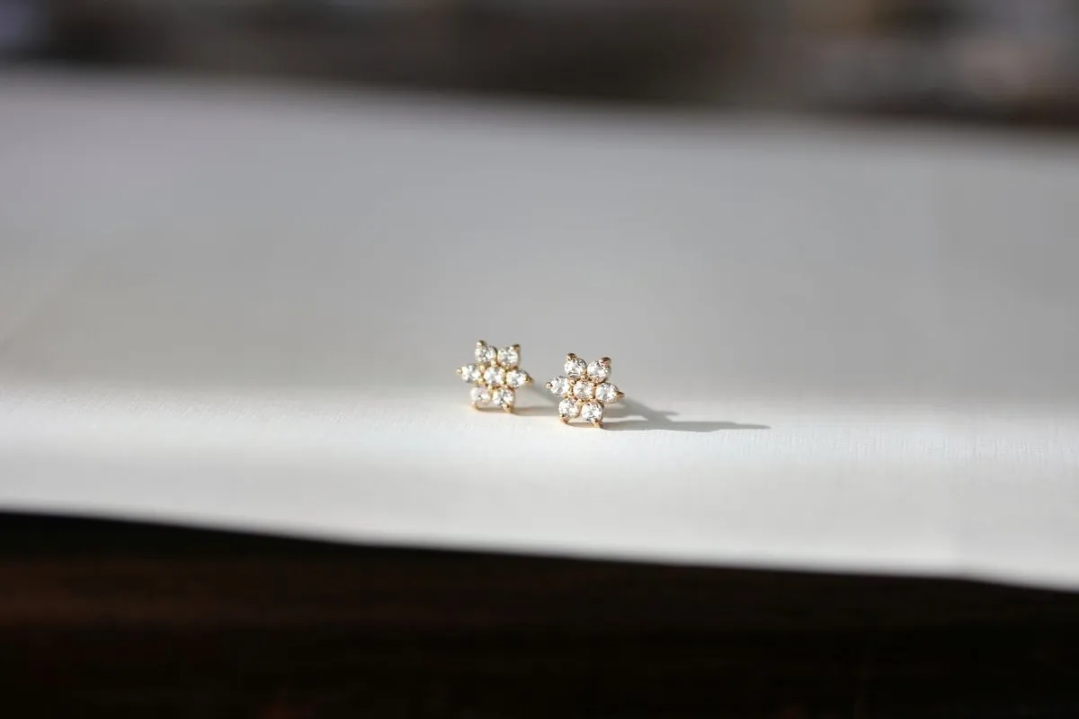 Little Gold Willow Studs