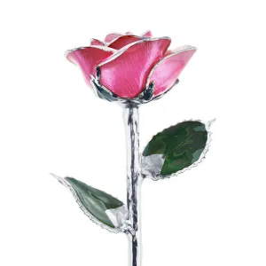 Platinum Princess Pink Rose