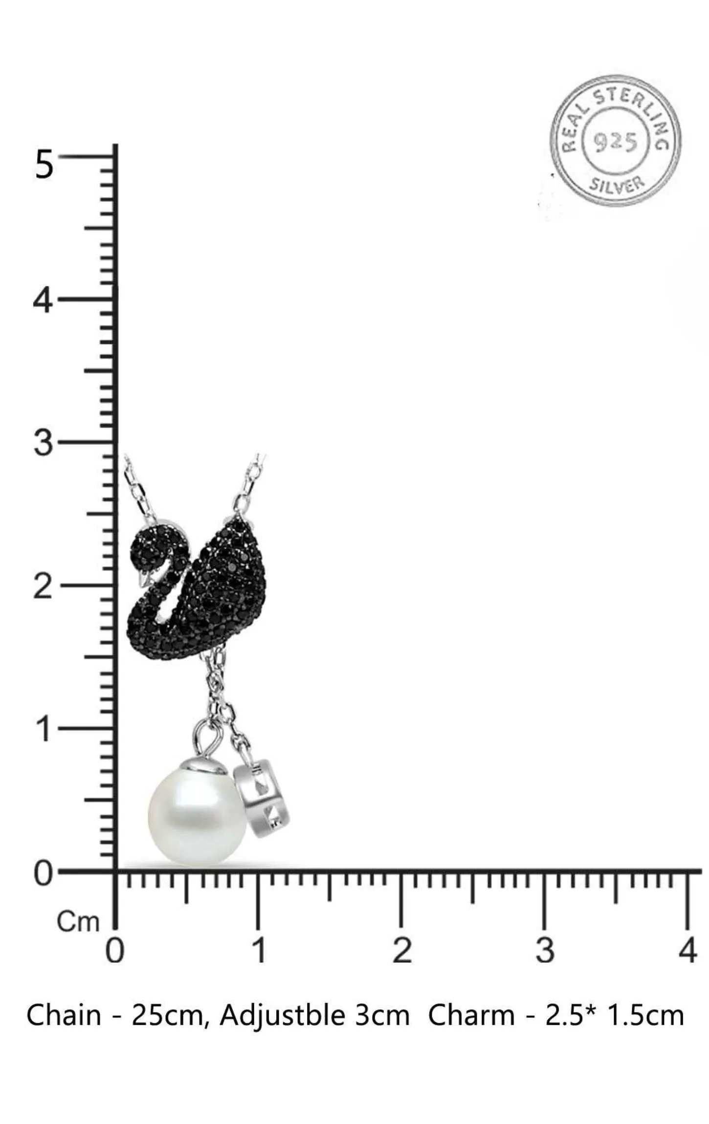 Solemn Black Swan Pendant Set Silver