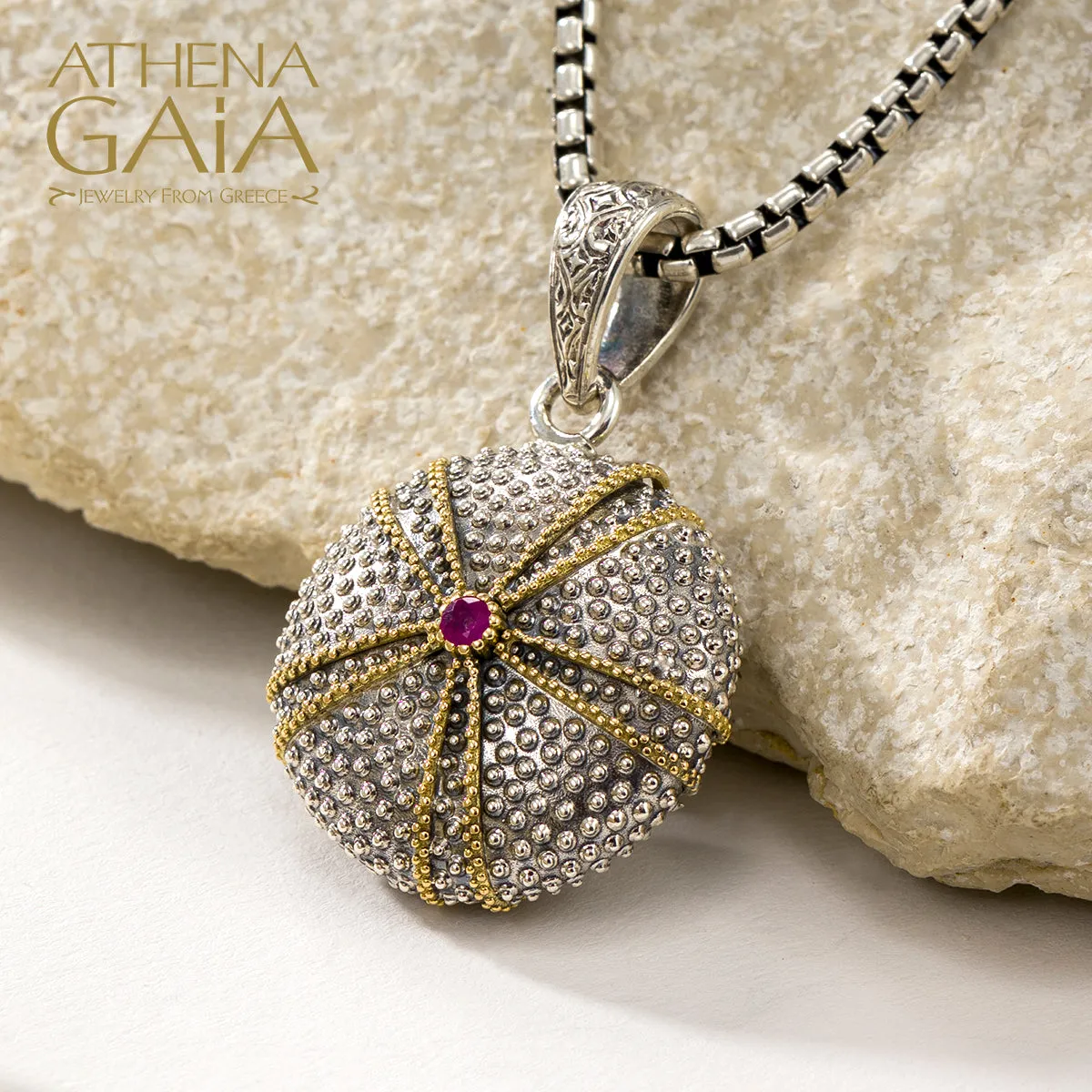 Thalassa Sea Urchin Skeleton Locket with Stone